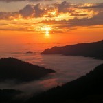 1486369989_Doga_Kategorisi_Kazanan