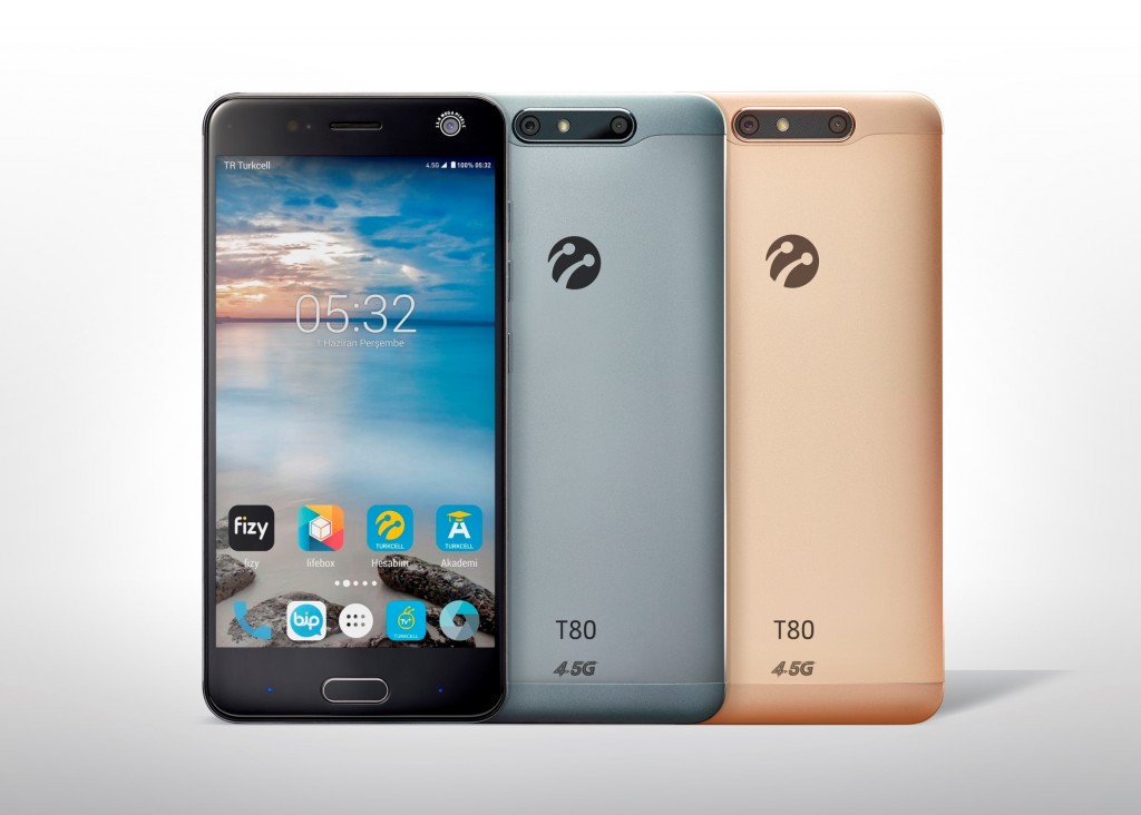 T80 Gri ve altın sarısı (gold)