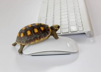 Yavaşlık E-Ticarette Her Yıl 2,5 Milyar Dolar Kaybettiriyor!